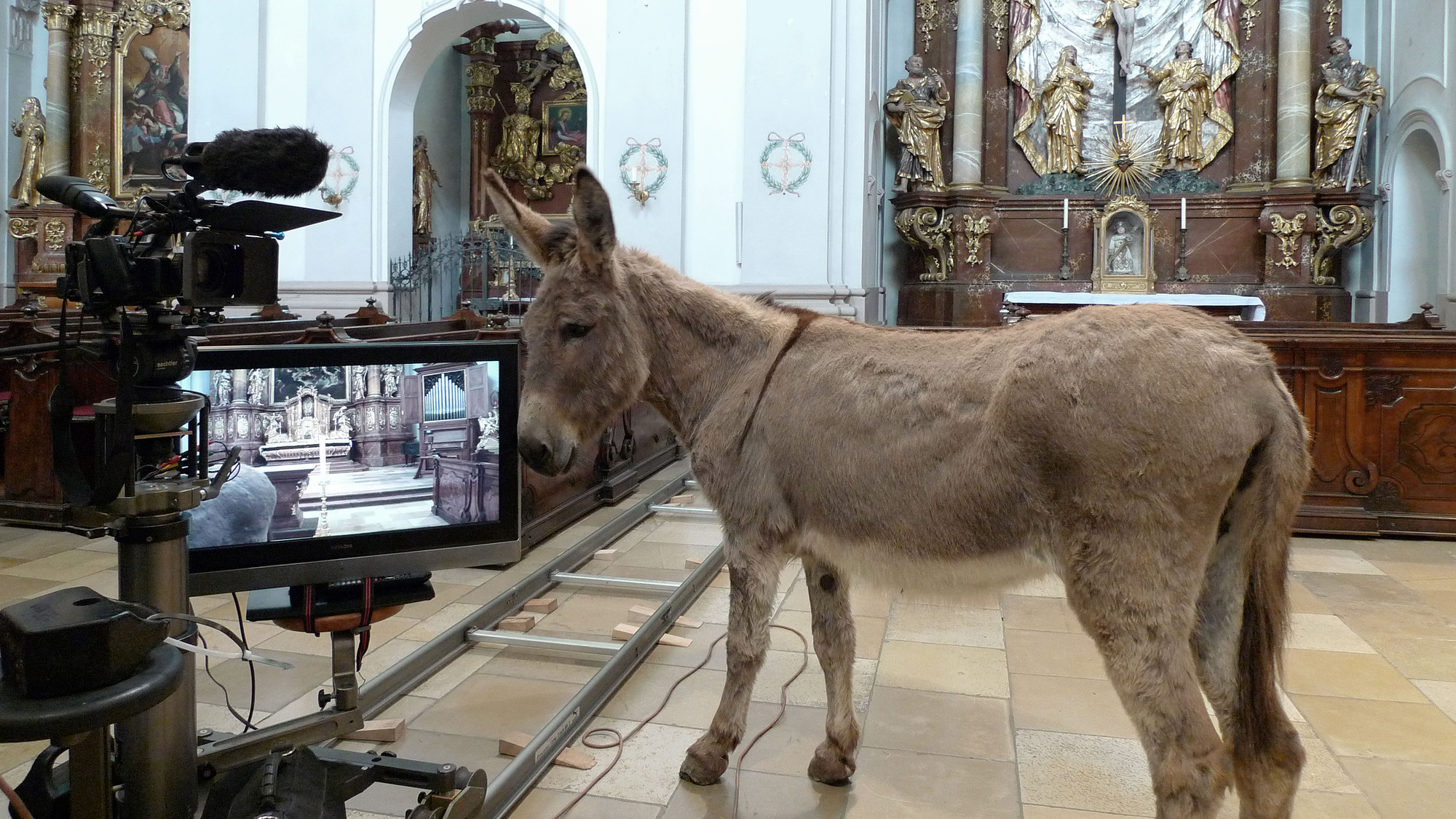 Ursulinenkirche Linz: Memento Mori – Kunst in der Fastenzeit