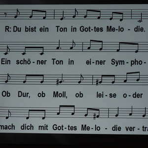 Martinsfest