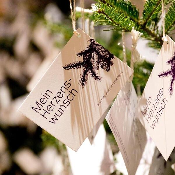 Weihnachtswald der Herzenswünsche / Richard Haidinger Advent am Dom
