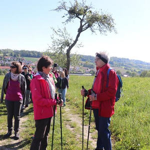 Frauenpilgertag