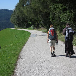 Fotos von verschiedenen Pilgerungen und Pilgerreisen