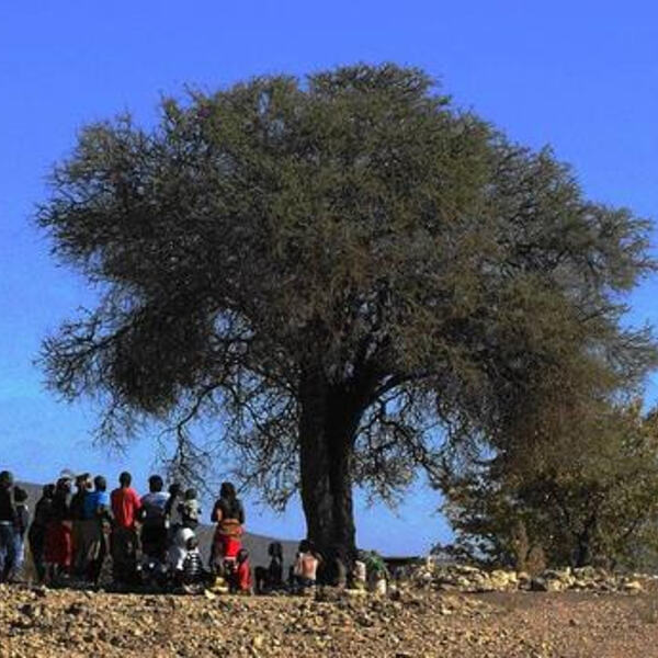 Namibiasonntag 2017