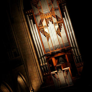 Und einer auf die Rudigierorgel!
