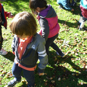 Kindergarten