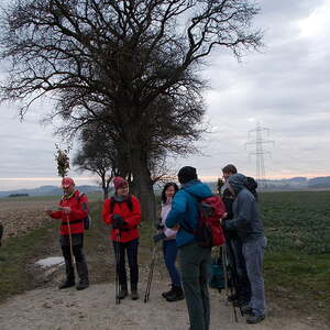 Fotos von verschiedenen Pilgerungen und Pilgerreisen